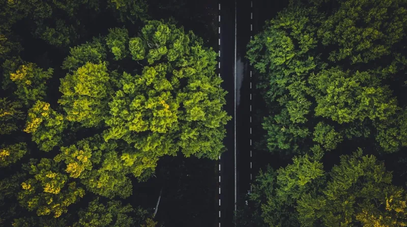 The Unlikely Intersection of Sustainable Living and Relationships