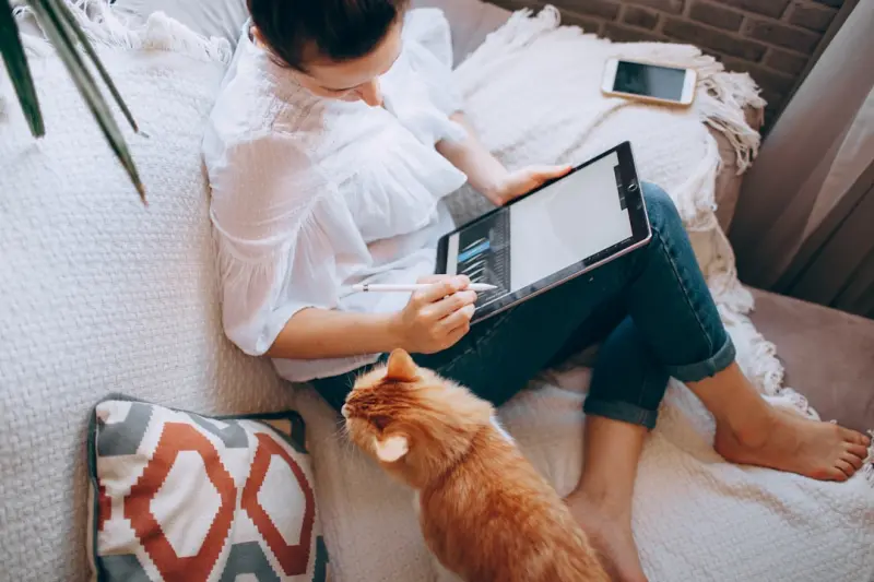 The Remote‑Work Pet Wellness Playbook: Turning Home Offices into Health Hubs