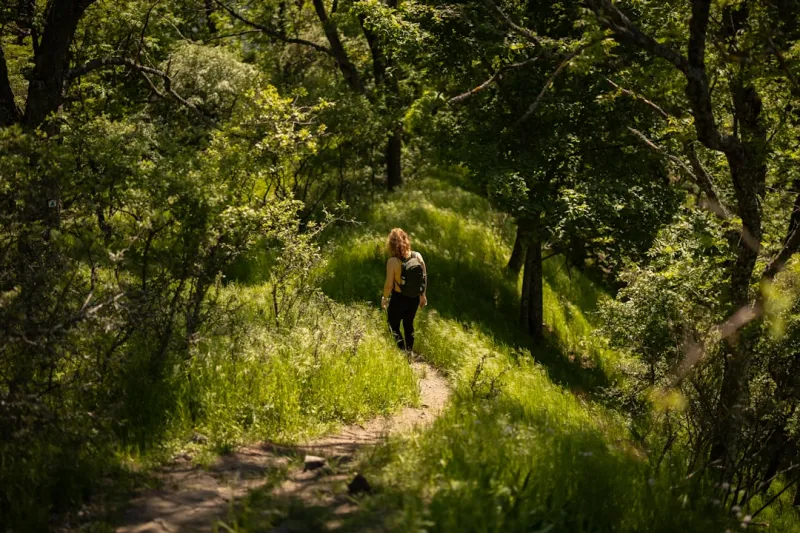 Finding Solace in Nature: How Outdoor Recreation Can Improve Mental Health