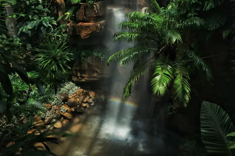 How to Build a Low‑Maintenance Indoor Jungle That Boosts Mood and Saves Time