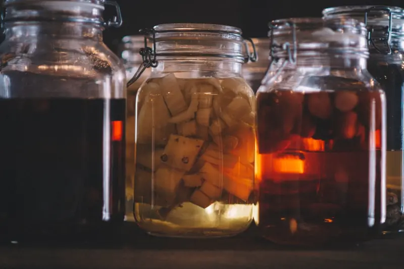 Fermenting Futures: Microbial Magic in Modern Cuisine
