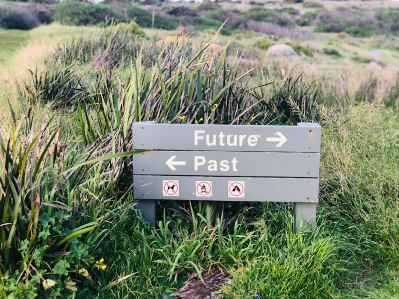 The Future of Education: Navigating the Changing Landscape of Learning