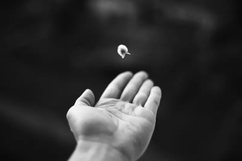 Why Tiny Gestures Matter: Unlocking the Hidden ROI of Mobile Micro‑Interactions