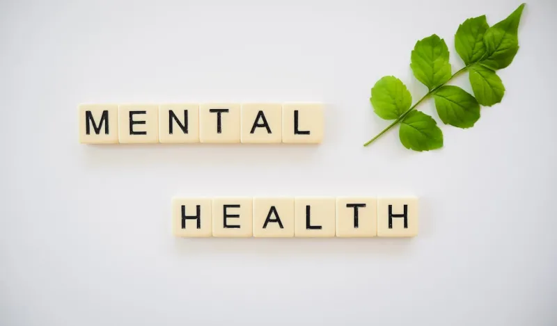 The Connection Between Sustainable Living and Mental Health