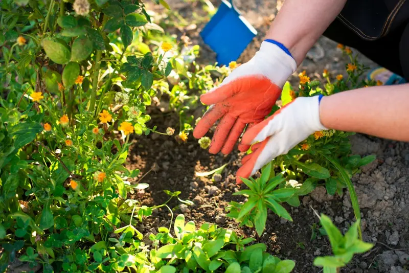 Decoding Soil Signals: A Modern Gardener’s Playbook for Balcony Bliss - Blogging Fusion