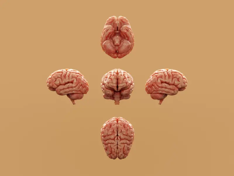 Neurodiversity and Empathetic Tech: Redefining Mental Health at Work
