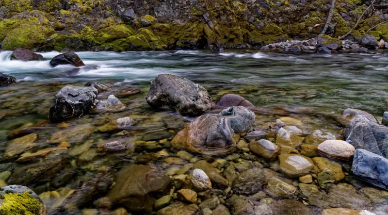 Guarding the Code River: A Fresh Take on Open‑Source Supply Chain Security
