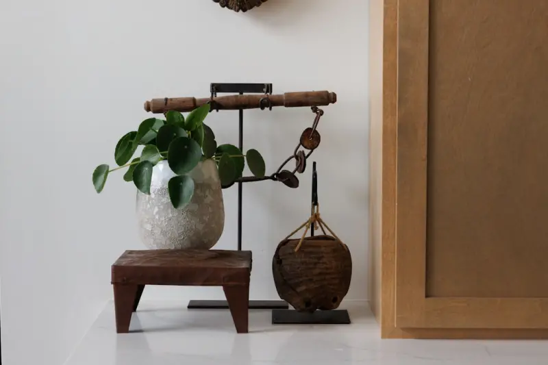 Balancing Speed and Slow Living in Modern Education: A Teacher’s Journey