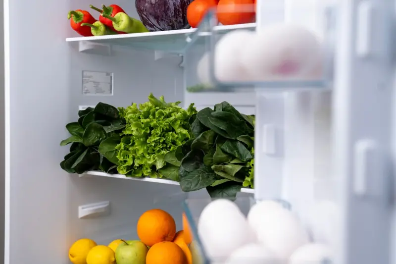 When Your Refrigerator Starts Thinking: The Quiet Revolution of Empathetic Appliances