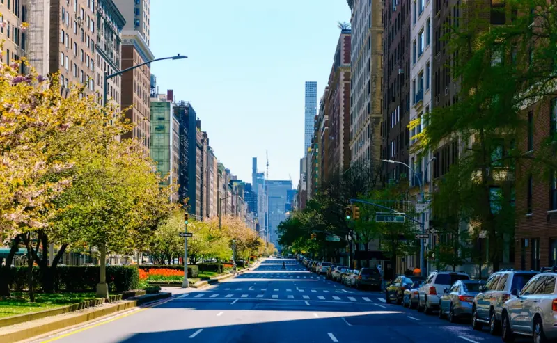 Turning City Streets into Living Gardens: A Community Blueprint