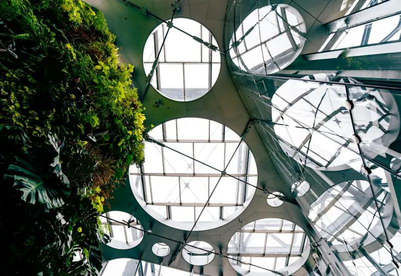 The Intersection of Sustainable Living and Web Development: A New Era of Eco-Friendly Websites