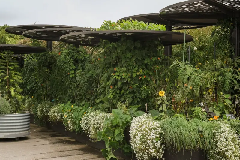Bringing the Outdoors In: How Biophilic Design Transforms Modern Interiors