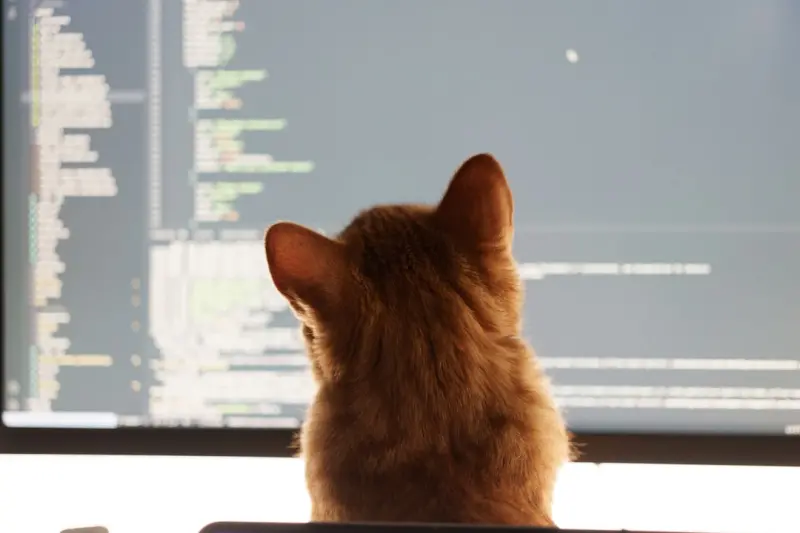 Decoding Your Cat’s Purr: A Guide to Understanding Feline Mood and Health