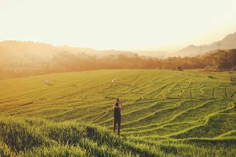 The Green Awakening: My Journey to a Sustainable, Mindful Life