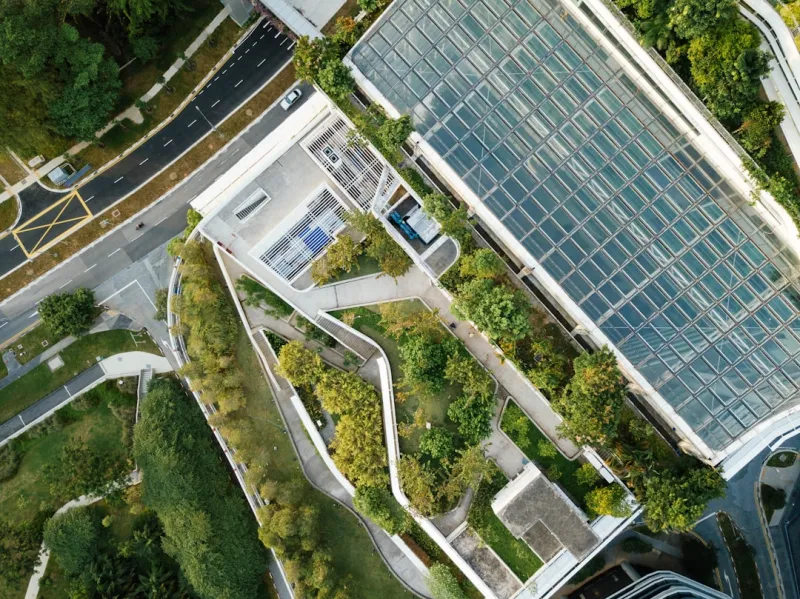The Intersection of Gardening and Sustainable Living: How My Green Thumb Shaped My Approach to Digital Strategy