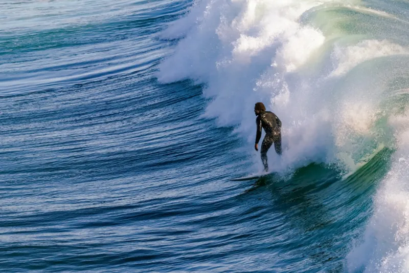 AI in 2024: Riding the Wave of Authentic, Sustainable Innovation