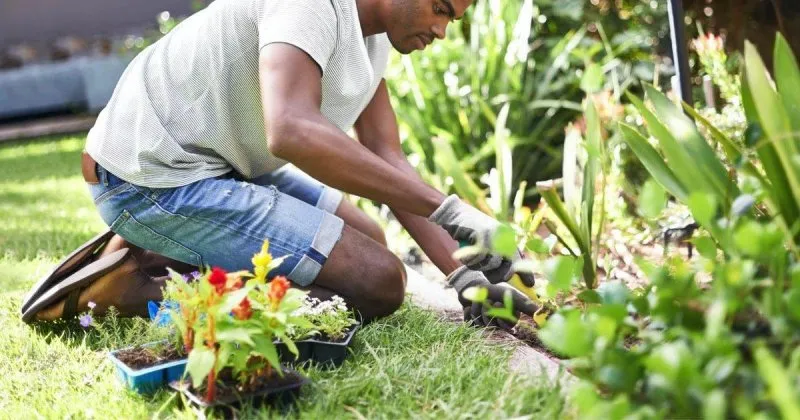 The Ultimate Guide to Starting Your Own Garden