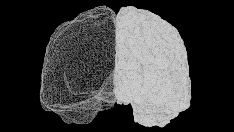 Designing for the Human Brain: Web Experiences That Stick
