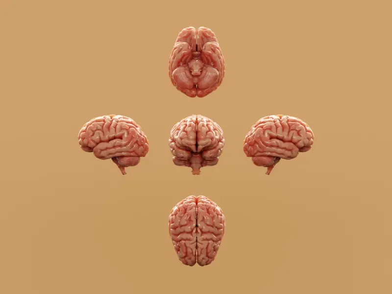 Building a Second Brain: How Generative AI Transforms Personal Knowledge Management