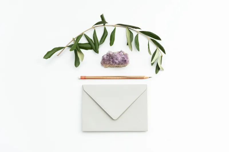 The Future of Email Marketing: How Sustainable Living Influences Digital Strategy