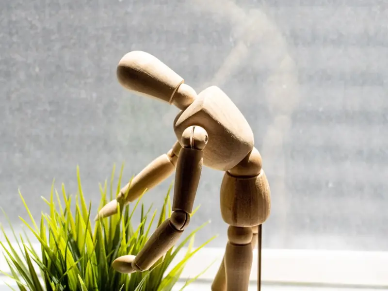 Cleaning the Air You Breathe: A Practical Guide to Eco‑Friendly Home Care