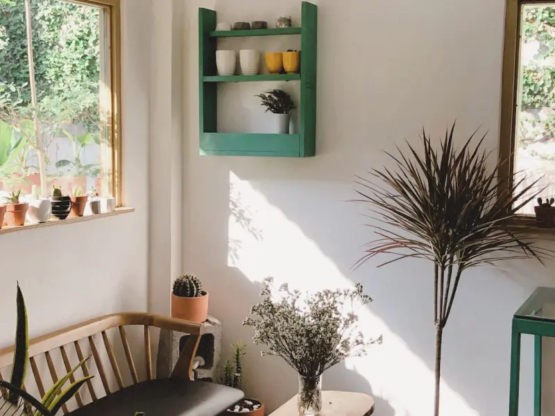 Eco‑Friendly Living: Small Shifts, Big Impact