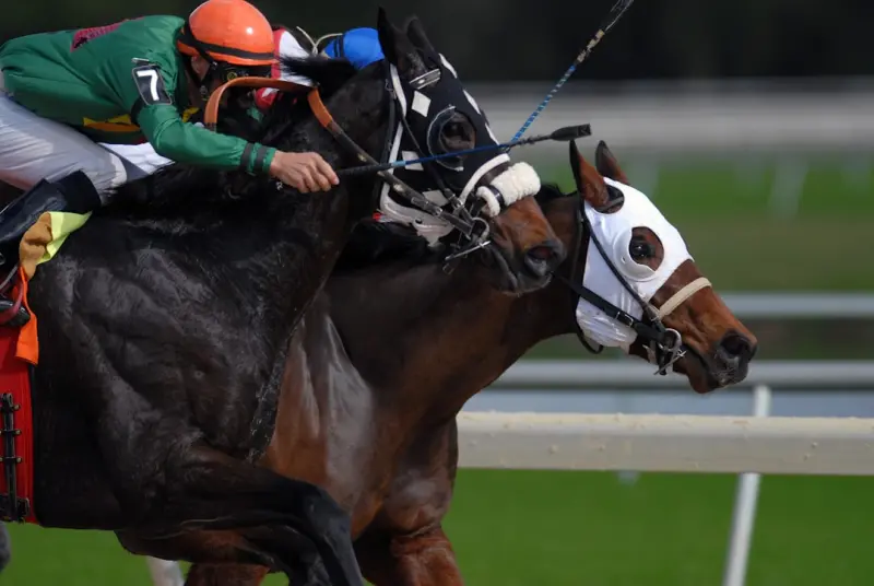 Real-Time SEO: Winning the Race for Instant Visibility