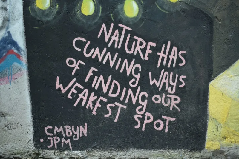 Nurturing Nature and Ourselves: The Interconnectedness of Gardening and Mental Health