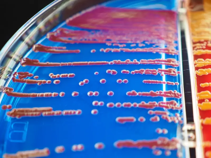 Cultivating a Skin Microbiome: A Fresh Approach to Personal Care