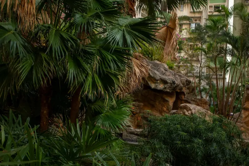 Trailblazing the Urban Jungle: 15‑Minute Microadventures for Busy Professionals