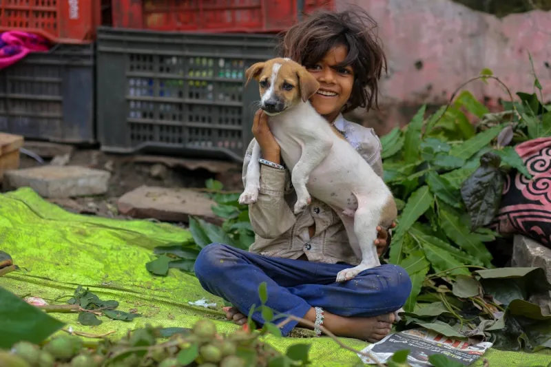 The Paws-itive Impact of Sustainable Living on Pet Care