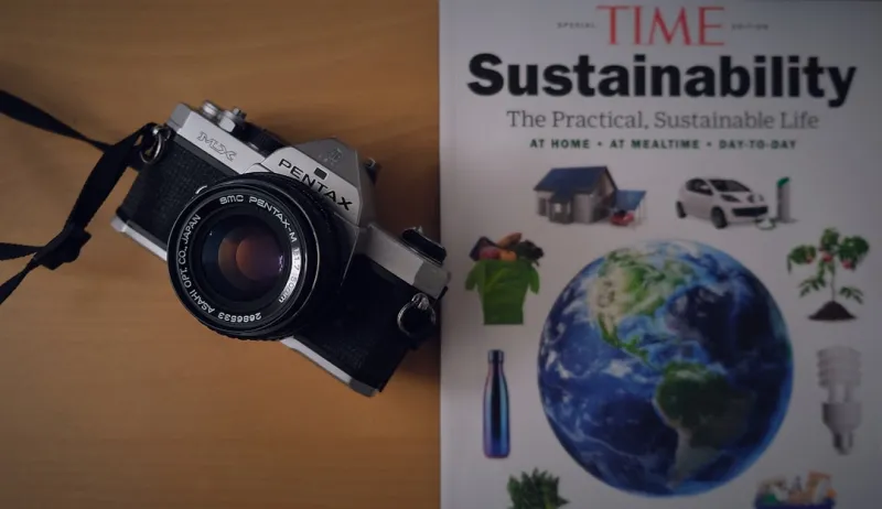 The Future of Education: Integrating Sustainable Living into the Classroom