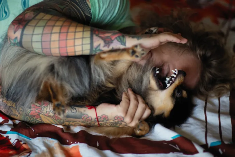 Pets in the Age of Rebellion: Jody Henderson’s Fresh Take on Modern Pet Care