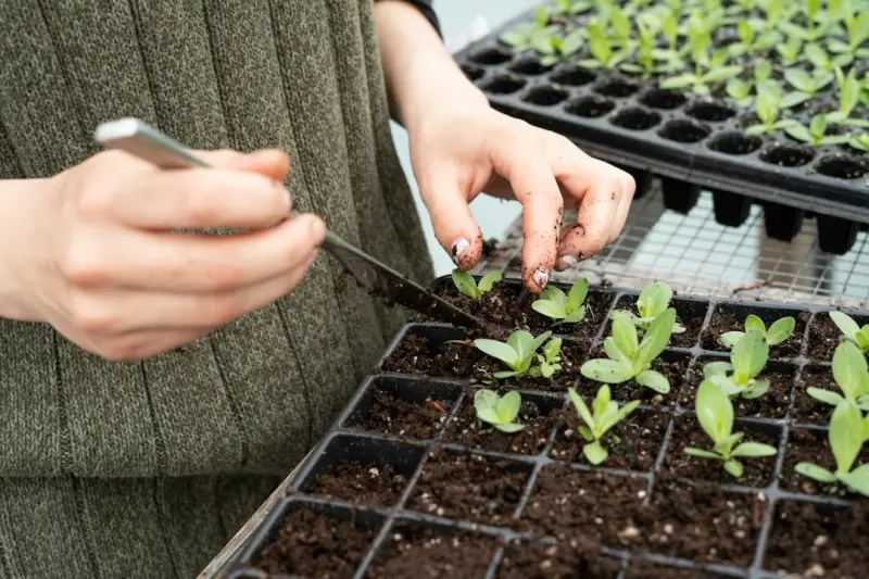 Cultivating Your Personal Microclimate: A Gardener’s Guide to Weather‑Smart Planting Cultivating Your Personal Microclimate: A Gardener’s Guide to Weather‑Smart Planting