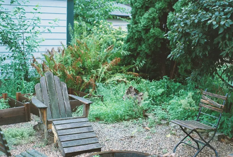 Seasonal Foraging: Turning Your Backyard into a Wild Kitchen