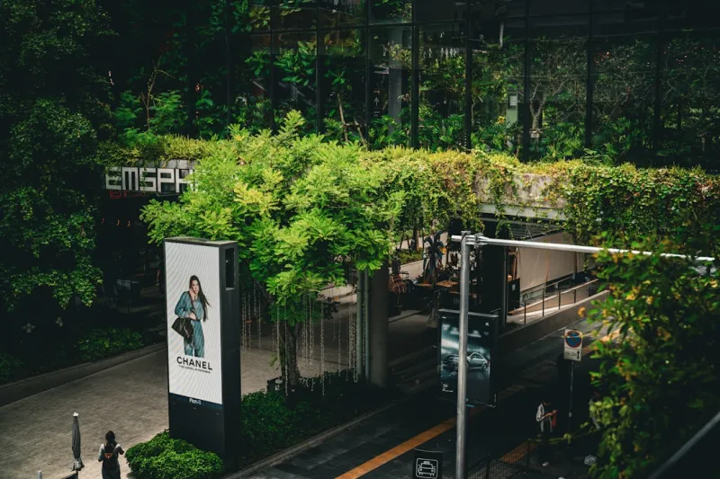 The Intersection of Marketing and Sustainable Living: A New Era of Conscious Consumption