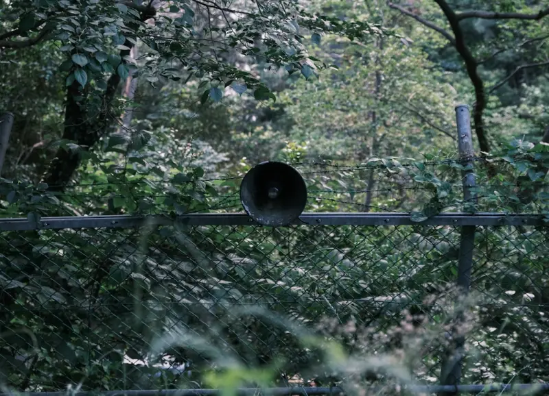 Listening to the Wild: How Sound Elevates Outdoor Adventures