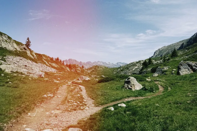 The Evolution of SERPs: Navigating the Changing Landscape of Search Engine Results