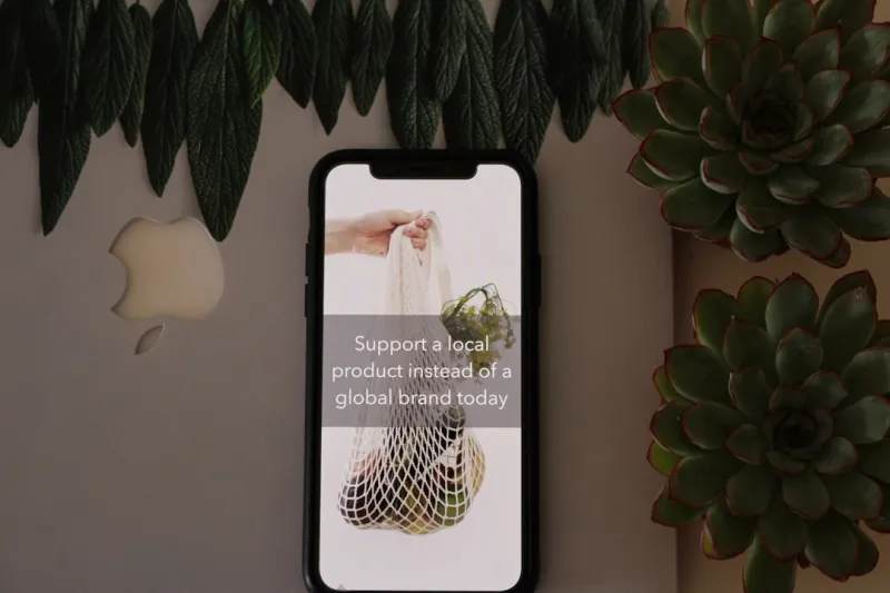 The Impact of Sustainable Living on Social Media