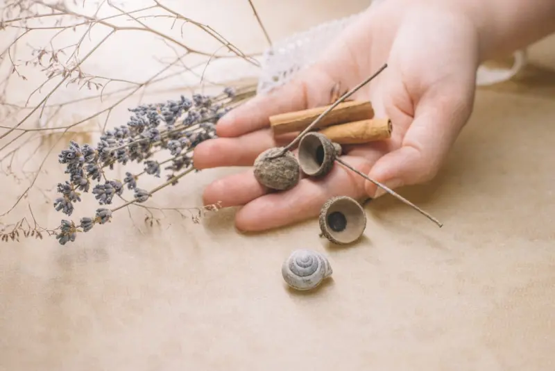 Tiny Sensory Rituals to Transform Everyday Life