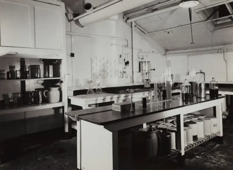 When Your Kitchen Becomes a Lab: The Unexpected Science Behind Modern Food Trends