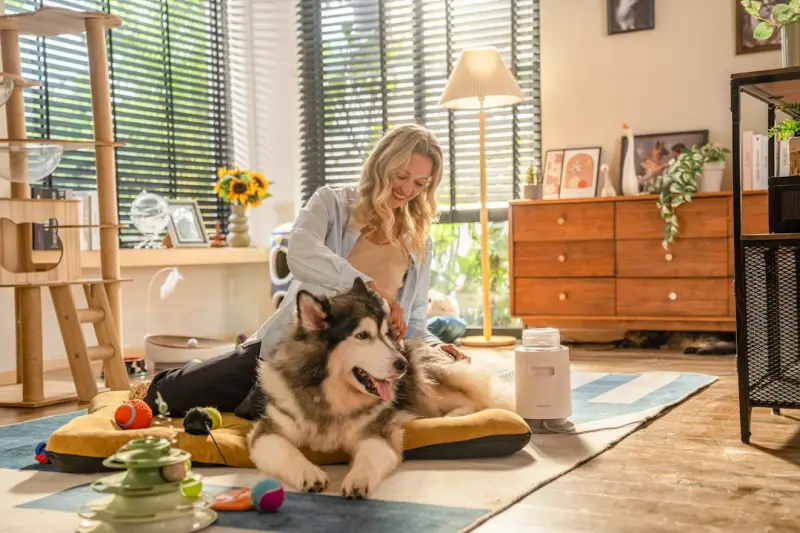 The Rise of Smart Pet Companions: Data‑Driven Care for Your Furry Friends