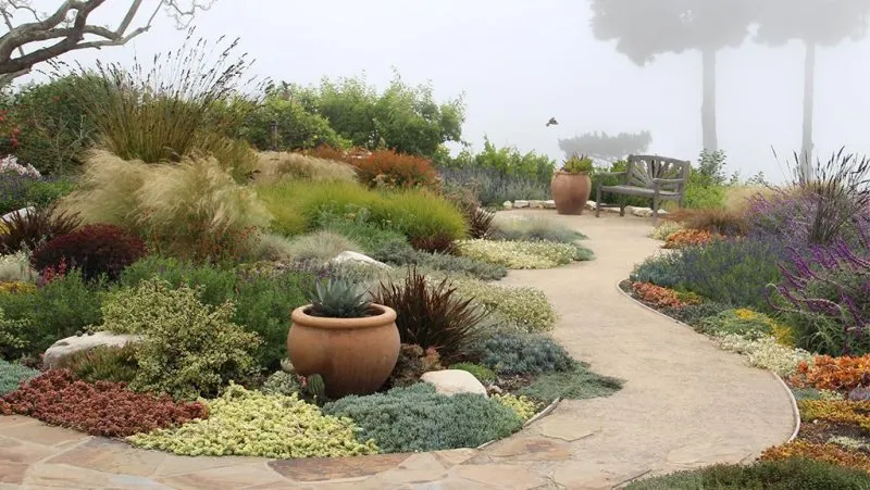 Xeriscaping: A Sustainable Approach to Landscaping