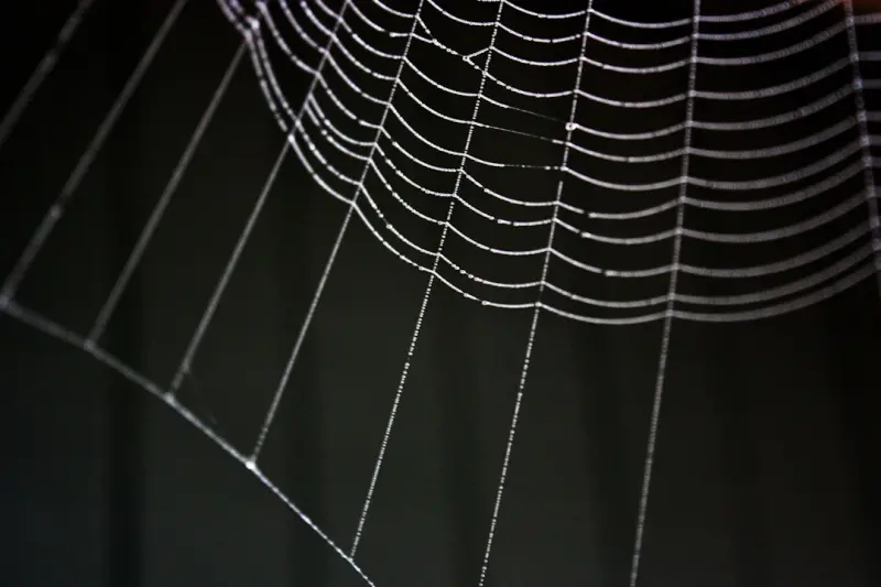 Scaling Web Front‑Ends with Micro Frontends: A Pragmatic Playbook