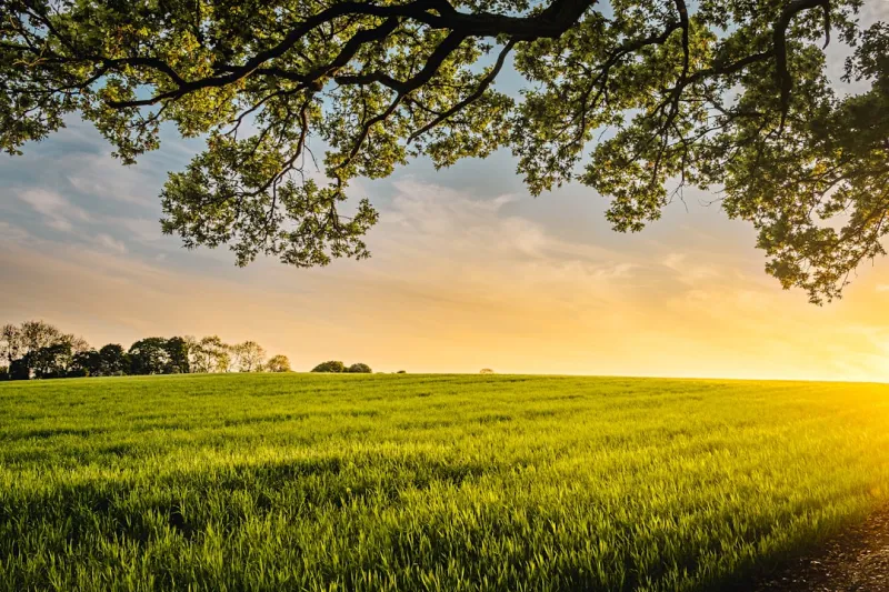 The Evolving Landscape of Insurance: Staying Protected in a Changing World