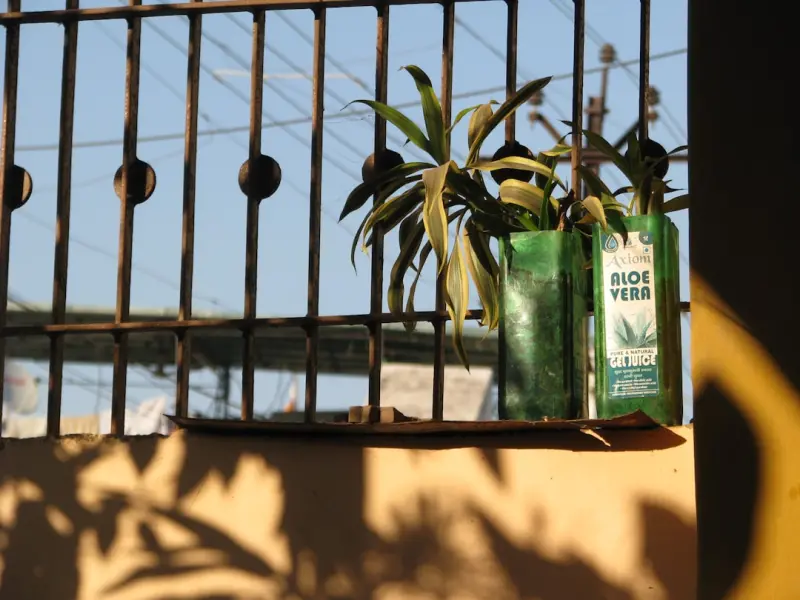 The Secret Sauce Behind Truly Green Offices: Eco‑Cleaning Strategies That Scale
